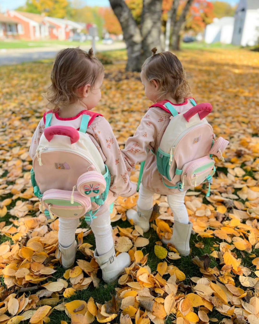 3-in-1 kids outing backpack